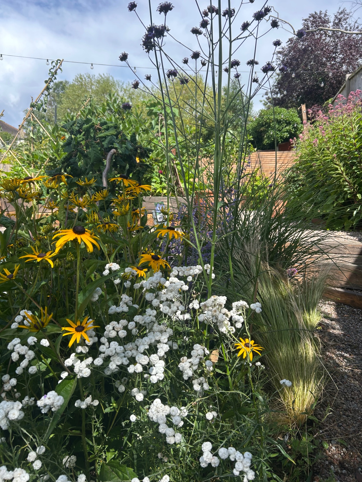 Boarder Planting